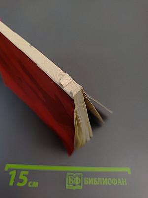 Ночной смотр