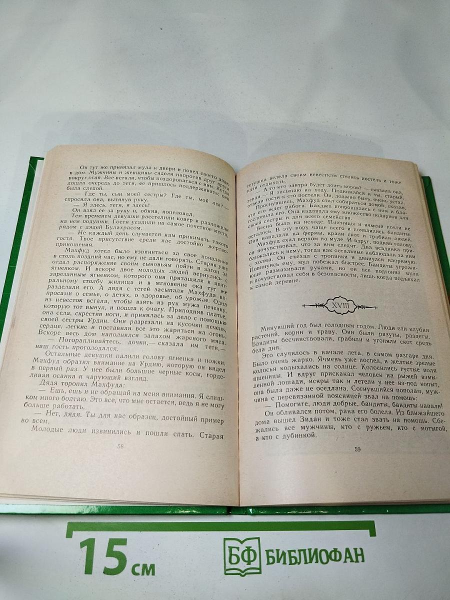 Разбойники в горах Атласа