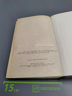 Виконт де Бражелон, или Десять лет спустя