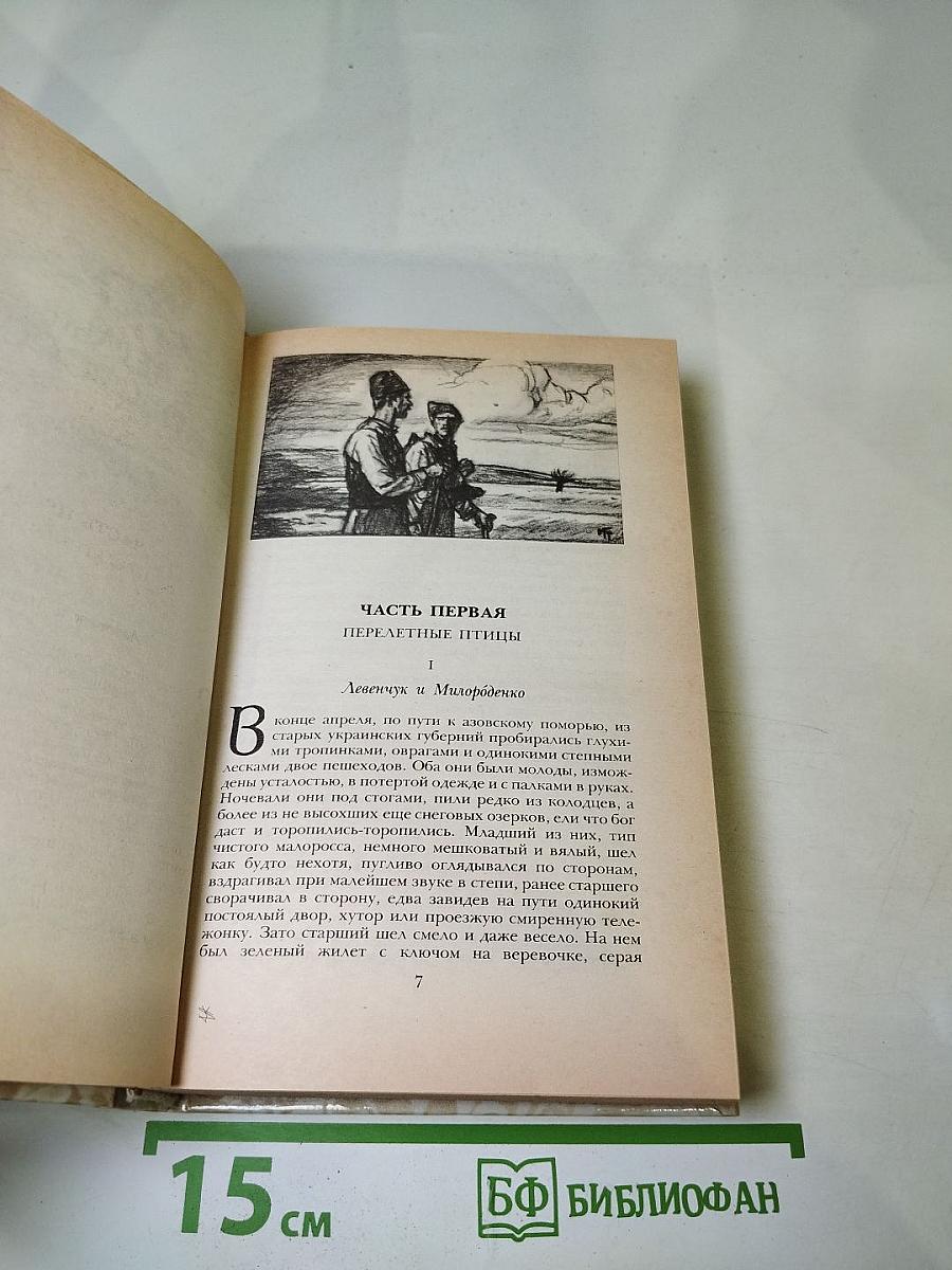 Г. П. Данилевский. Беглые в Новороссии. Воля. Княжна Тараканова