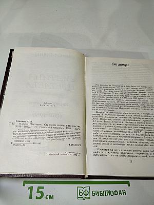 Марина Цветаева. Страницы жизни и творчества (1910-1922)