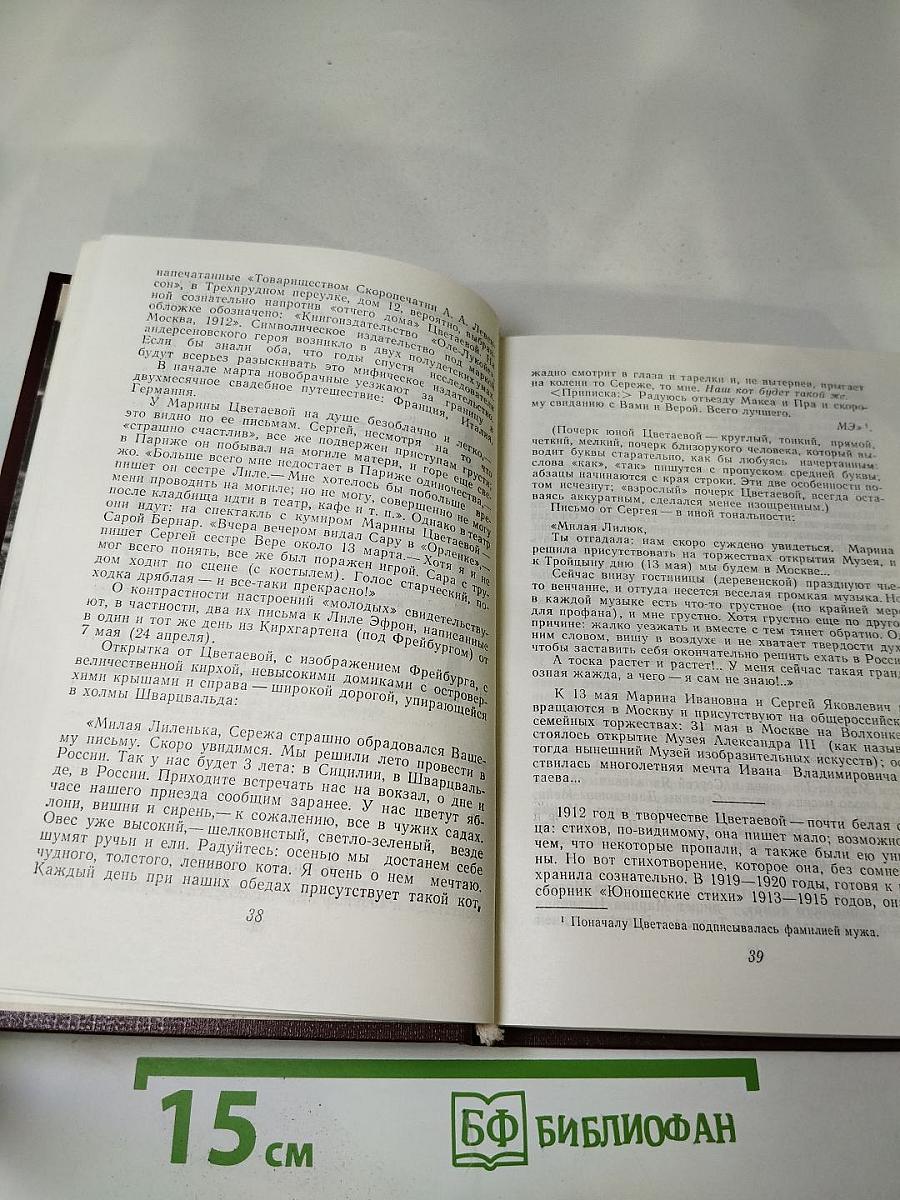 Марина Цветаева. Страницы жизни и творчества (1910-1922)