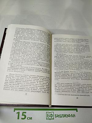 Марина Цветаева. Страницы жизни и творчества (1910-1922)