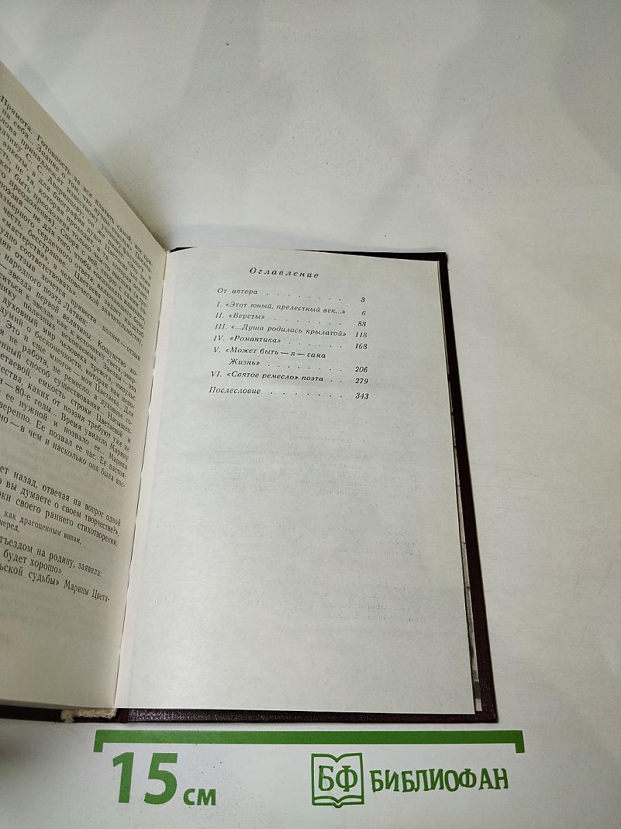 Марина Цветаева. Страницы жизни и творчества (1910-1922)