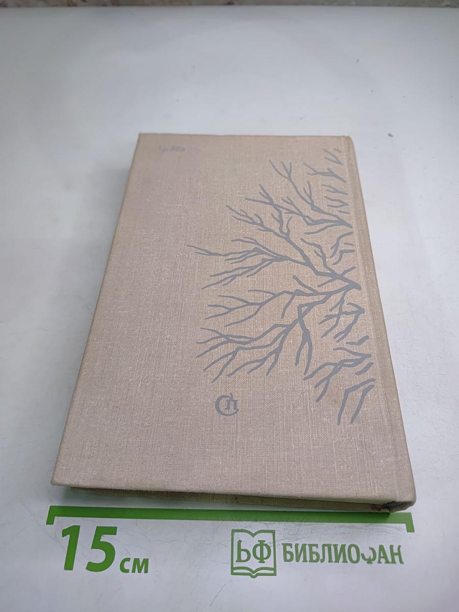 Улица Грановского, 2