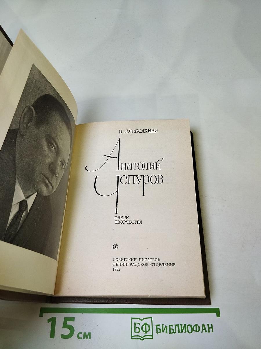 Анатолий Чепуров. Очерк творчества