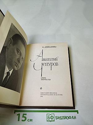 Анатолий Чепуров. Очерк творчества