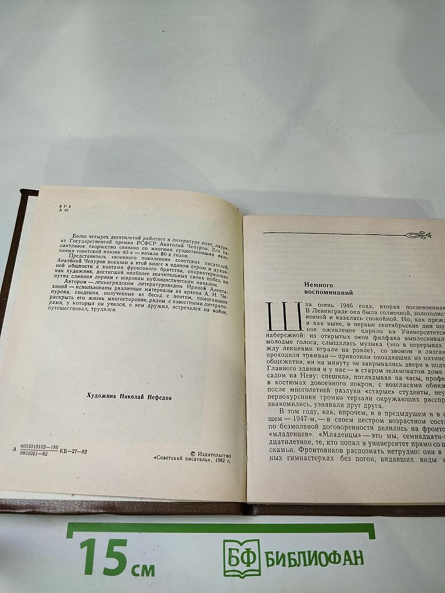 Анатолий Чепуров. Очерк творчества