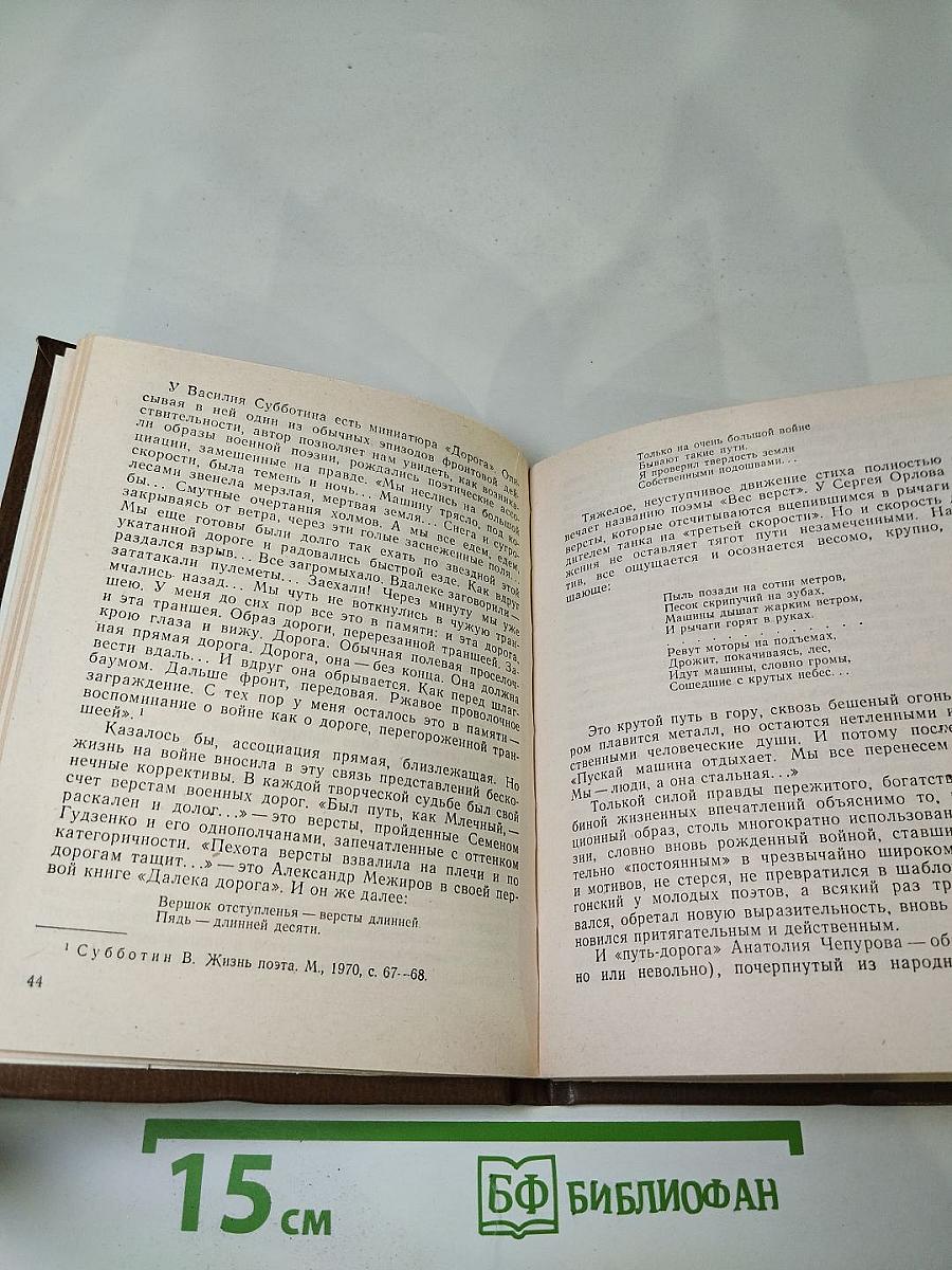 Анатолий Чепуров. Очерк творчества