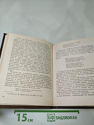 Анатолий Чепуров. Очерк творчества