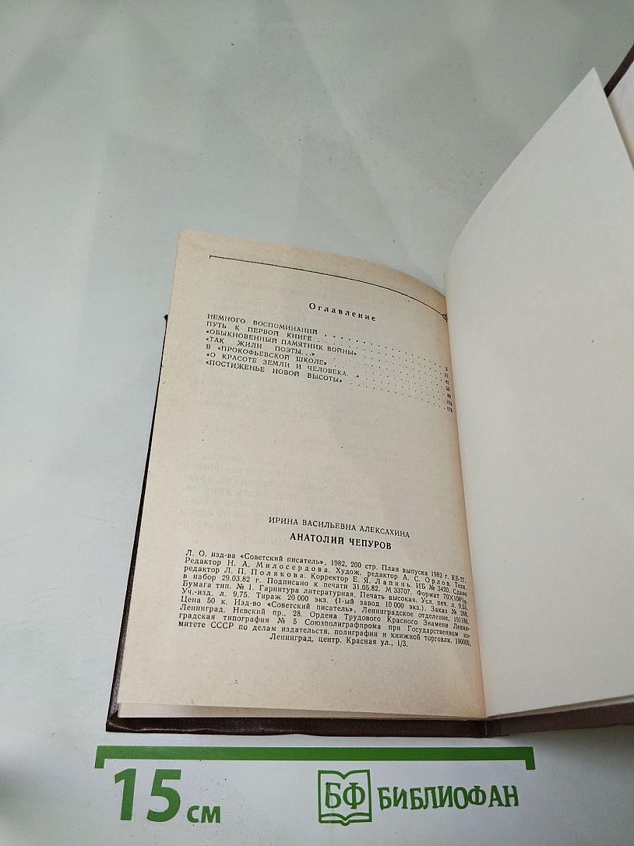 Анатолий Чепуров. Очерк творчества