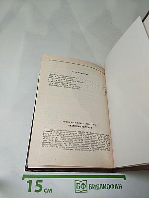 Анатолий Чепуров. Очерк творчества