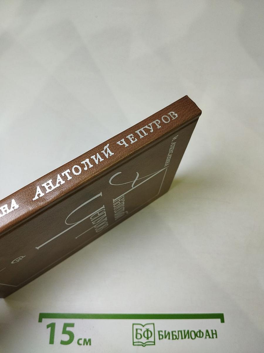 Анатолий Чепуров. Очерк творчества