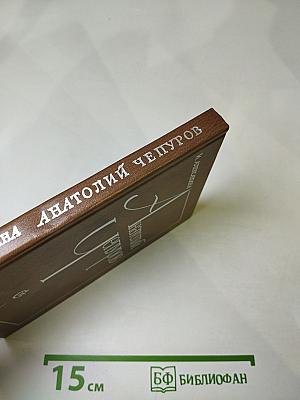 Анатолий Чепуров. Очерк творчества