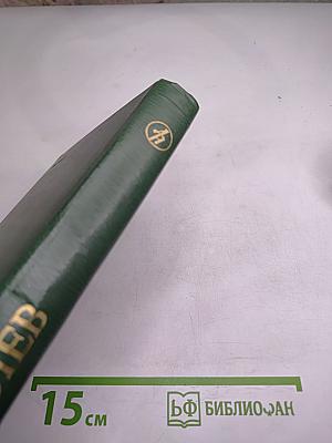 Былого слышу шаг