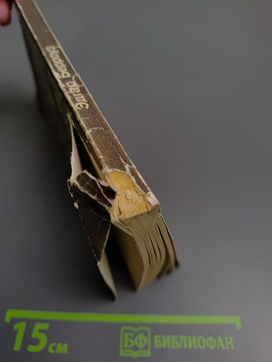 Тарзан. Приемыш обезьяны