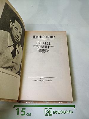 Гойя, или Тяжкий путь познания