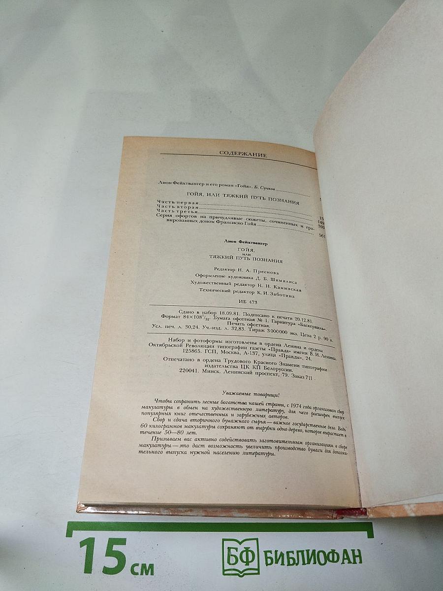 Гойя, или Тяжкий путь познания