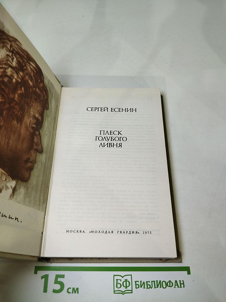 Плеск голубого ливня