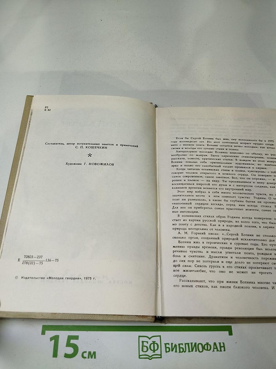 Плеск голубого ливня