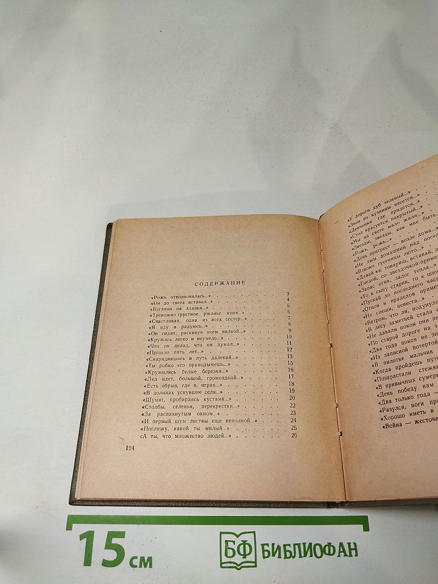 Стихи из записной книжки