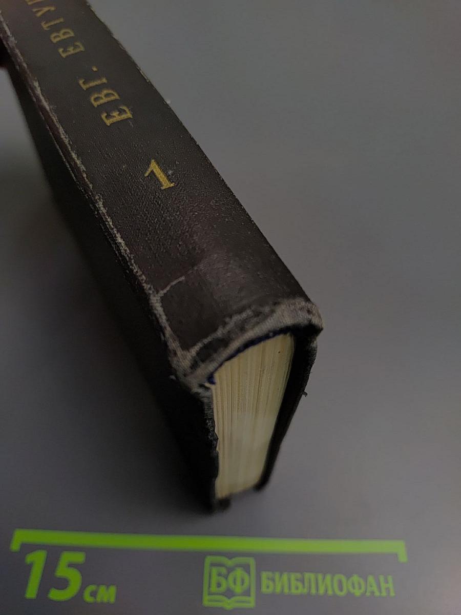 Избранные произведения. Том первый. Стихотворения и поэмы 1952-1965