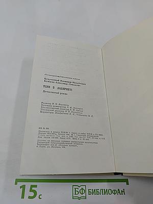 Тени в лабиринте