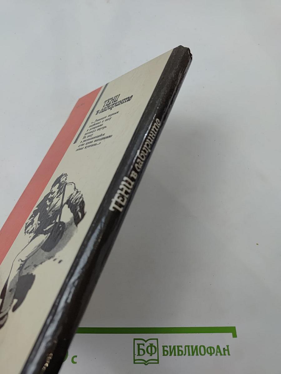 Тени в лабиринте