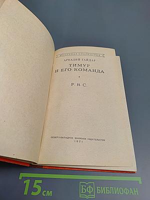 Тимур и его команда