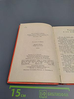 Тимур и его команда