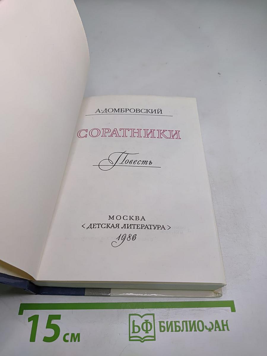 Соратники. Повесть