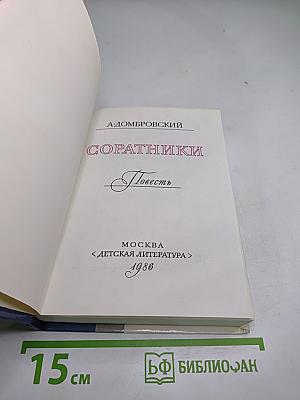 Соратники. Повесть