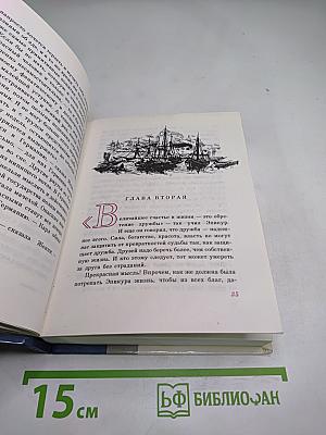 Соратники. Повесть