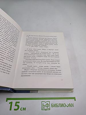 Соратники. Повесть