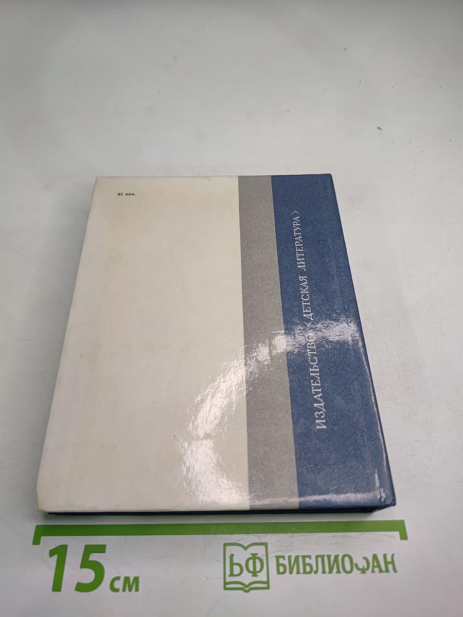 Соратники. Повесть