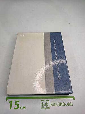 Соратники. Повесть