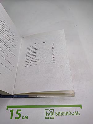 Соратники. Повесть