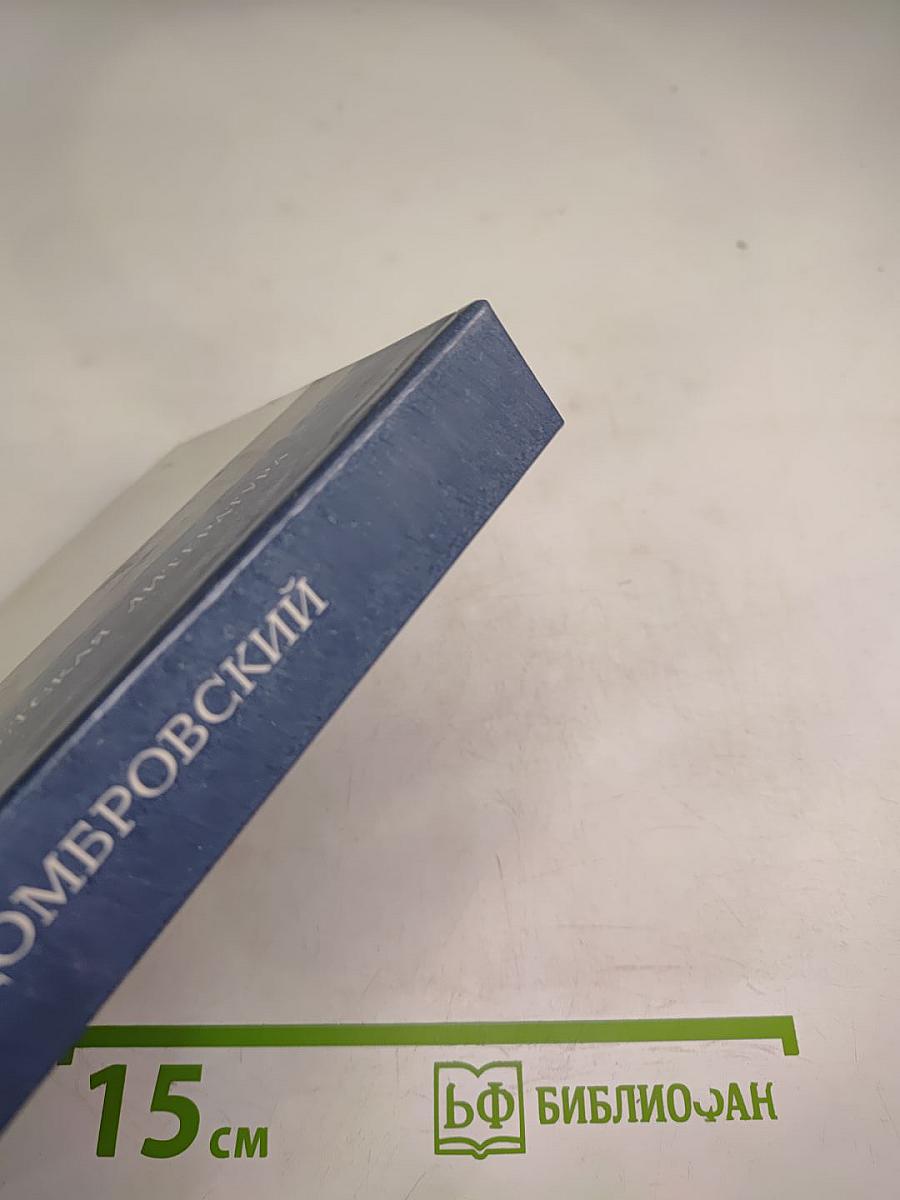 Соратники. Повесть