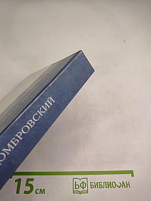 Соратники. Повесть