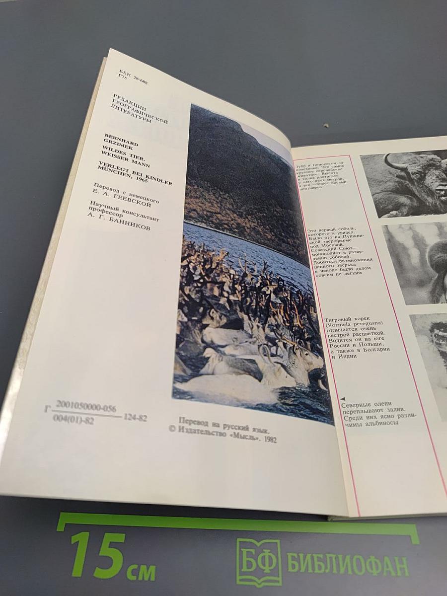 Дикое животное и человек