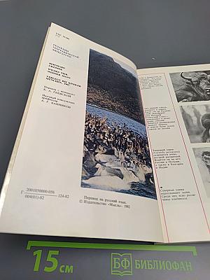 Дикое животное и человек