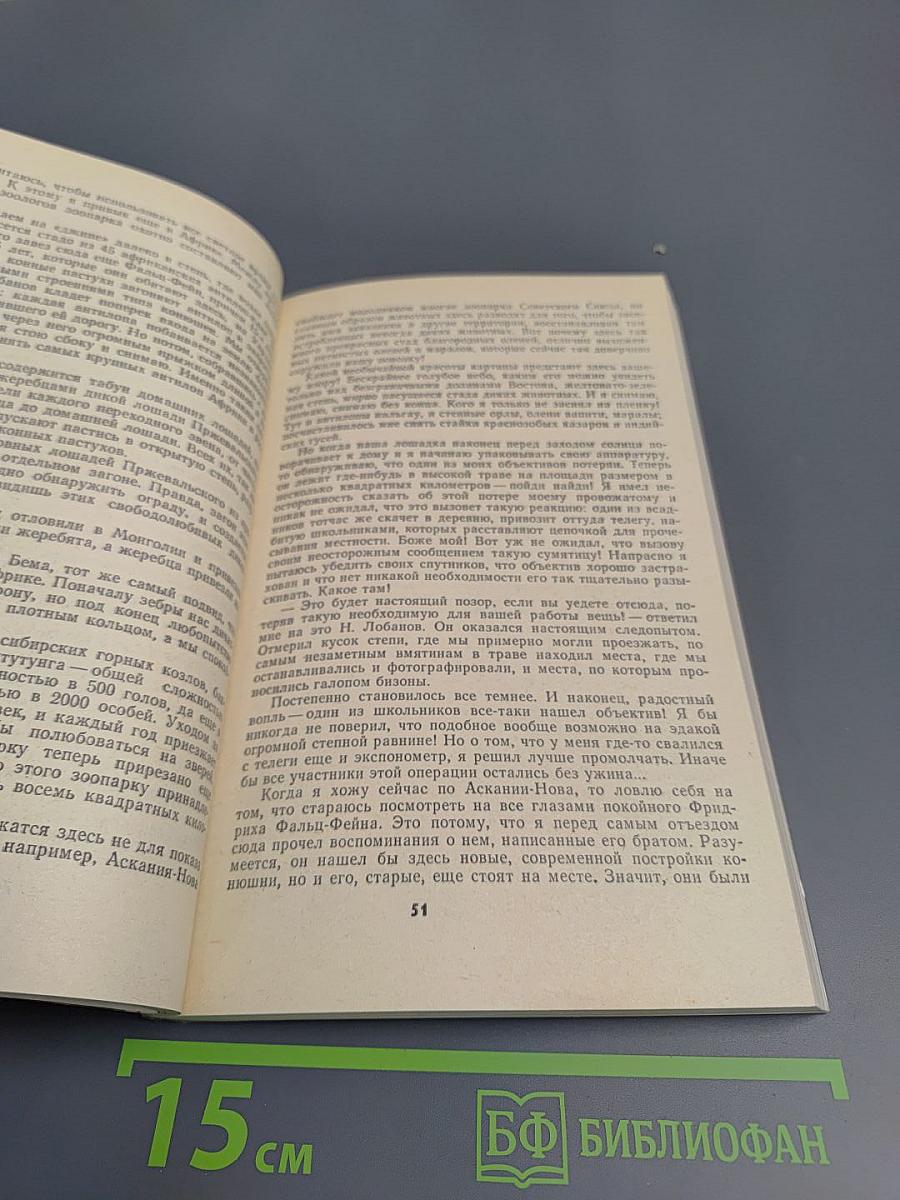 Дикое животное и человек