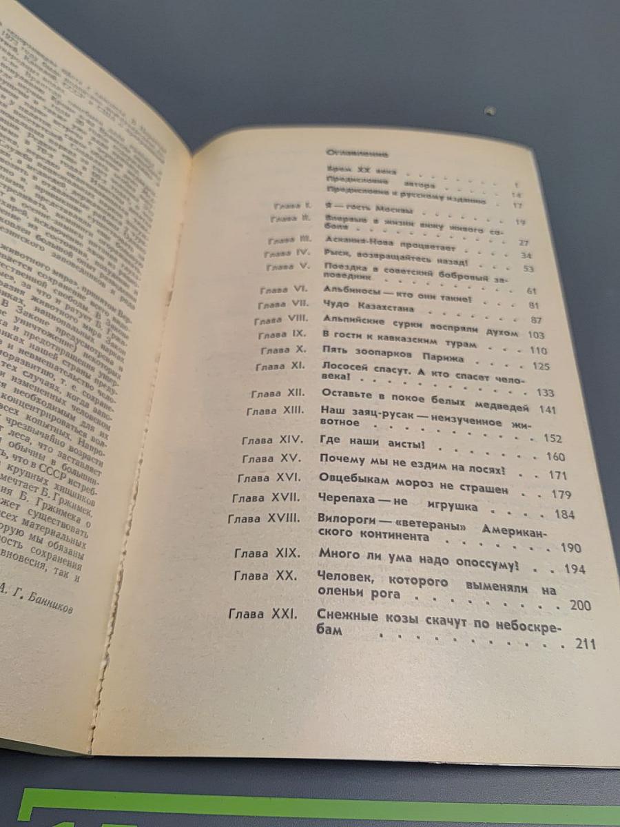 Дикое животное и человек