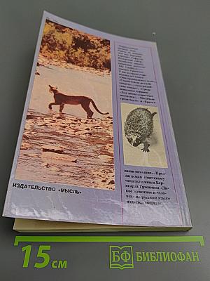 Дикое животное и человек