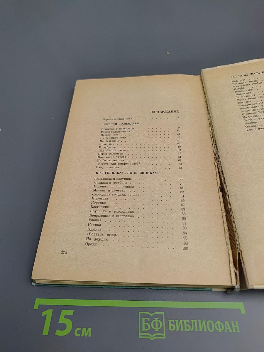 Лесные дива