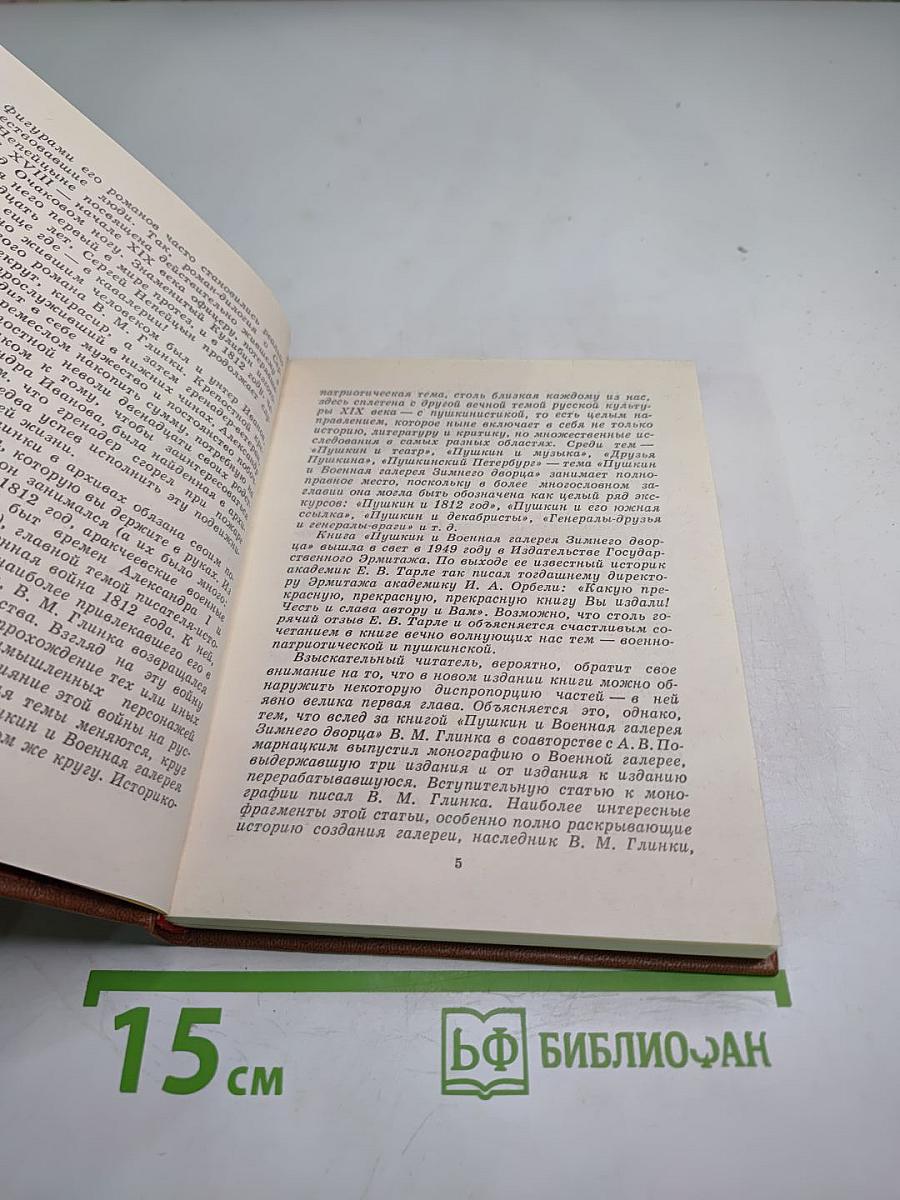 Пушкин и Военная галерея Зимнего дворца