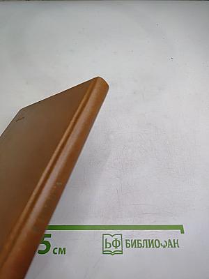 Пушкин и Военная галерея Зимнего дворца