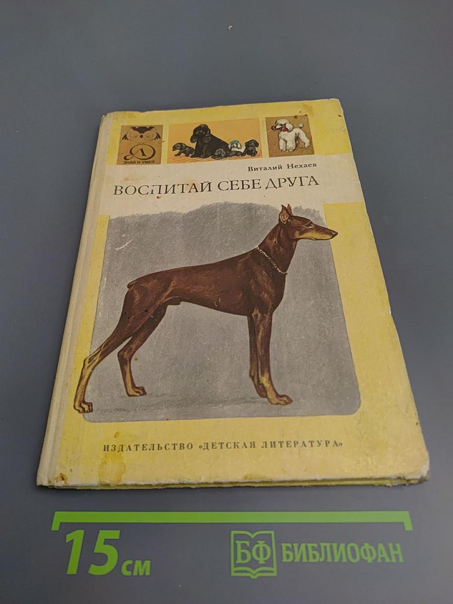 Воспитай себе друга