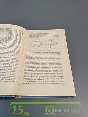 В звездных лабиринтах. Ориентирование по небу