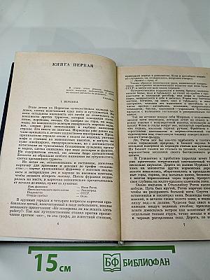 Похищение Европы. Том четвертый